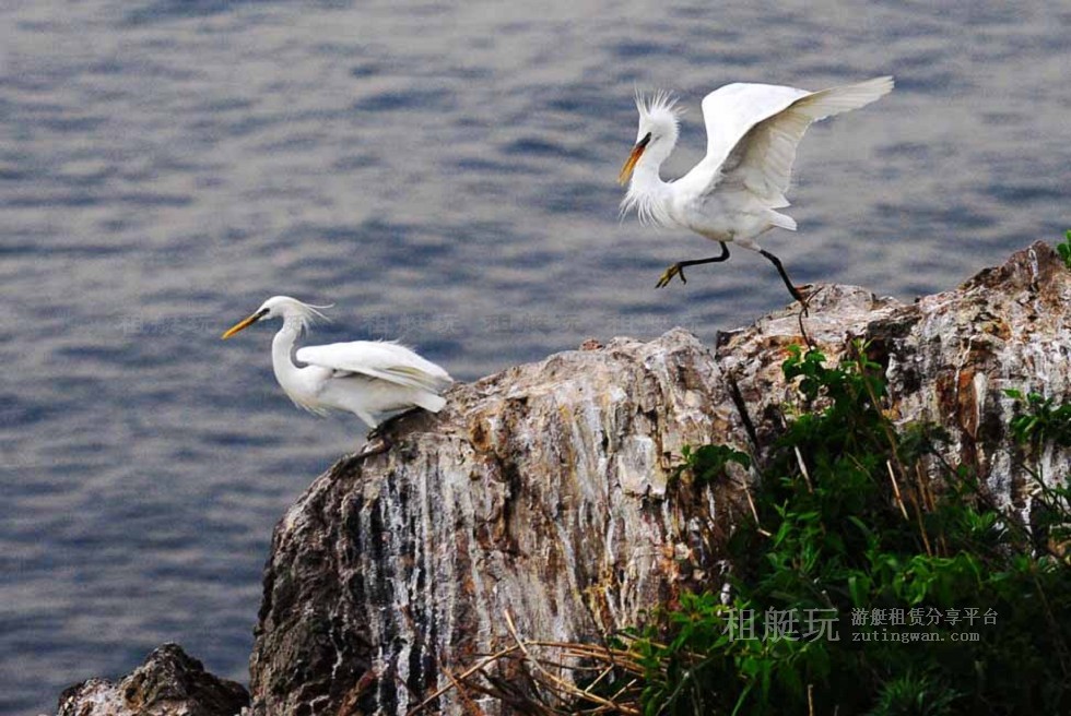 深圳玩船-釣魚&帆船最適宜 深圳玩船-釣魚&帆船最適宜