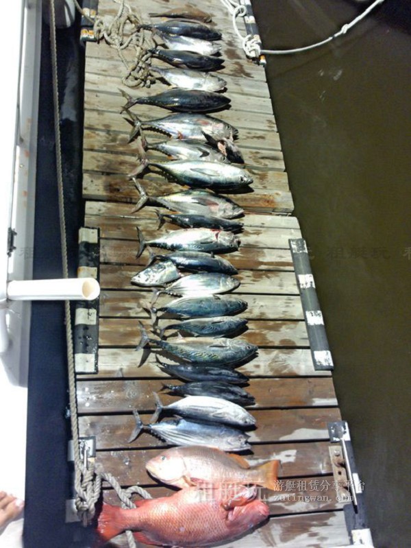 三亞海釣目的地推薦,租艘釣魚艇去海釣吧! 三亞海釣目的地推薦,租艘釣魚艇去海釣吧!