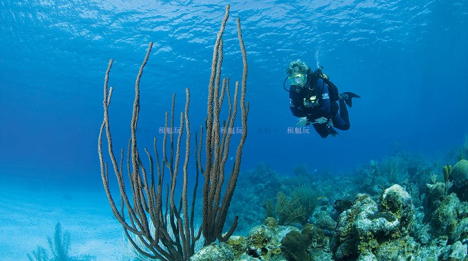 P改009.jpg P改009.jpg